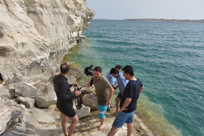 Atatürk Barajı kıyısında Paleolitik Dönem kaya resimleri bulundu